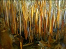 Colored Stalagmites